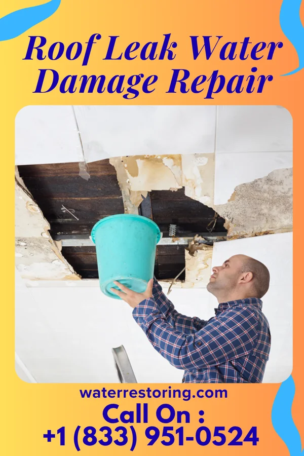 Roof Leak Water Damage Repair in Torrington, WY